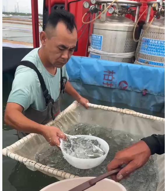圖片2